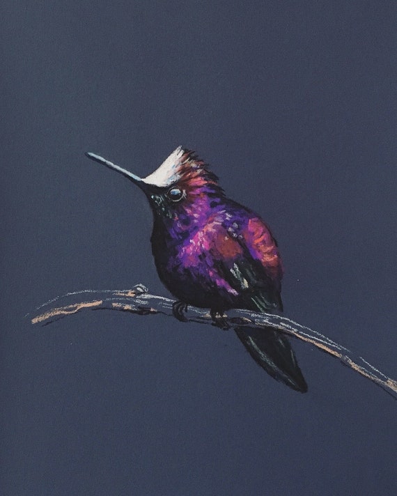 Moody Art Print of Humming Bird Print of Original Artwork by Etsy