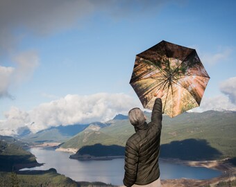 Redwoods Umbrella - Large