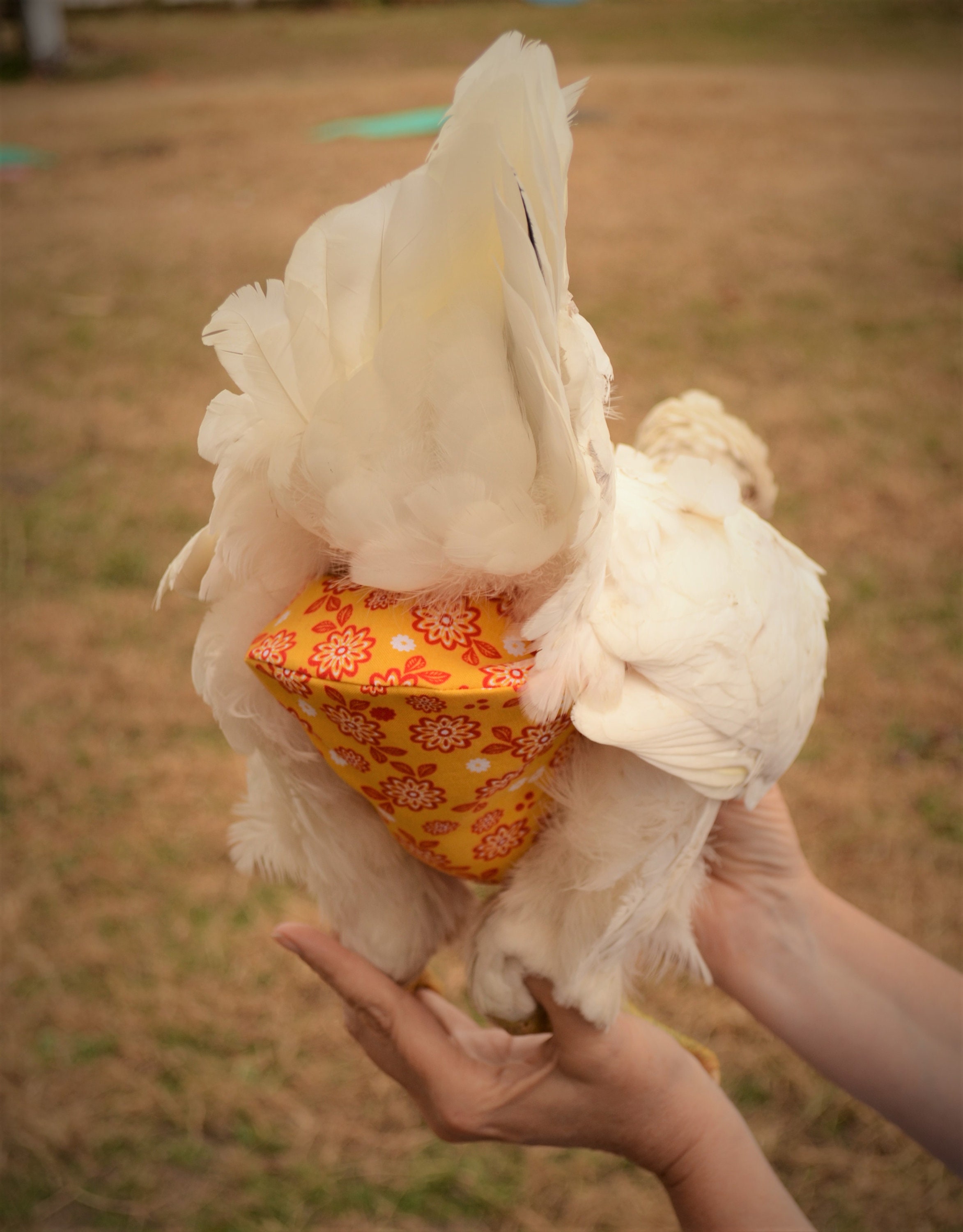 Chicken Diaper With Removeable Liner Etsy