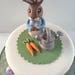 Peter Rabbit Cake Topper - Etsy