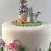 Peter Rabbit Cake Topper - Etsy