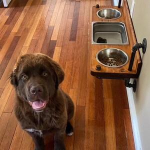 Floating water bin dual feeder: steampunk pet feeding station with two stainless bowls on a wooden platform beside a dog.