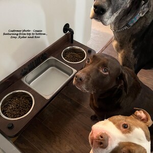 Floating water bin dual feeder: steampunk pet feeding station with two stainless bowls on a wooden platform beside a dog.