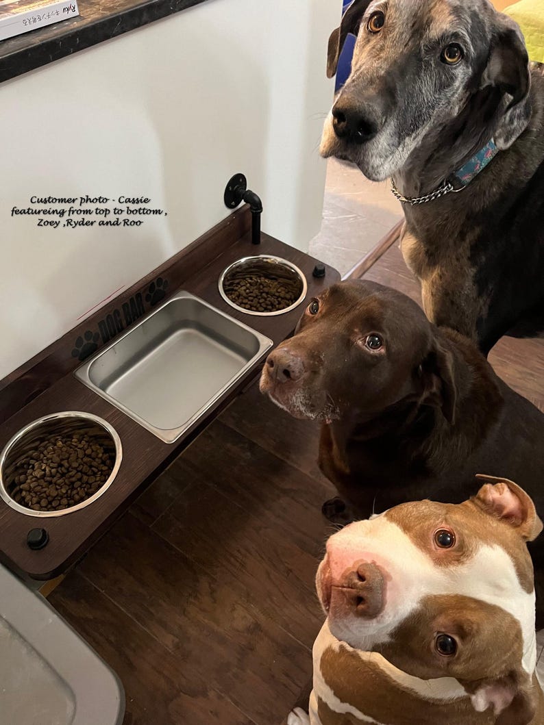 Floating water bin dual feeder: steampunk pet feeding station with two stainless bowls on a wooden platform beside a dog.