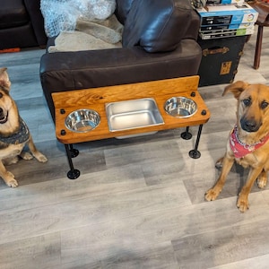 Raised Dog Bowl Feeder with Water Bin: Steampunk Style, Stainless Steel Bowls