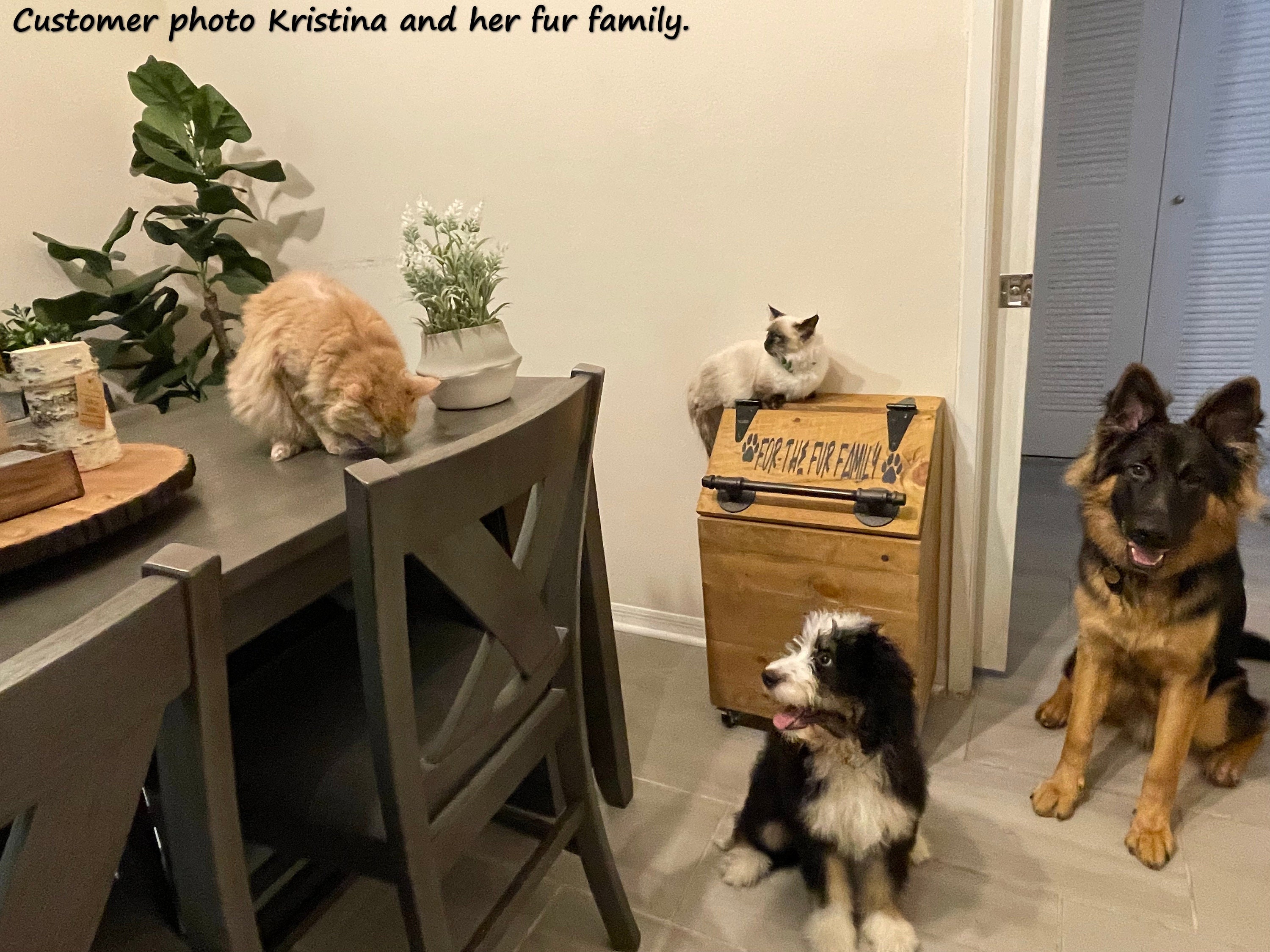 XLARGE Wooden Dog Food Storage Container HOLDS 40LB BAGS Etsy Canada