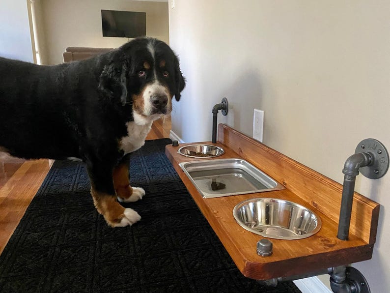Floating water bin dual feeder: steampunk pet feeding station with two stainless bowls on a wooden platform beside a dog.