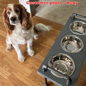 Close detail showing three stainless bowls set in knotty pine top, satin black pipe dog bowl stand, rustic finish