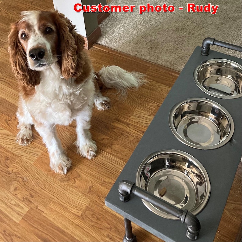 Close detail showing three stainless bowls set in knotty pine top, satin black pipe dog bowl stand, rustic finish