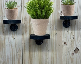 wall mount floating planter discs - Floating planter disc - Floating planter shelf