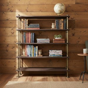 May include: A dark brown bookcase with four shelves, filled with books, owl ornaments, and a small potted plant. The bookcase has brass-coloured supports and is set against a wooden wall.