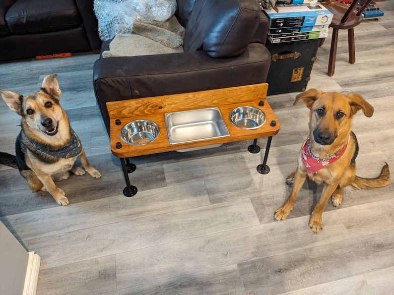 Elevated Dog Feeder with Water Bin, Large Wood Stand, Stainless Steel Bowls