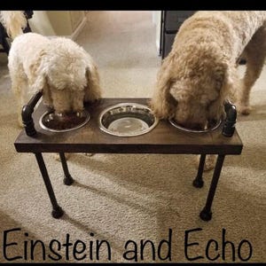 Low knotty pine 3 bowl elevated dog feeder engraved with pet names, two small dogs sharing meals