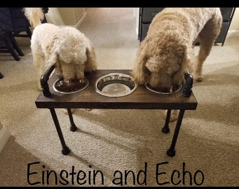 Low knotty pine 3 bowl elevated dog feeder engraved with pet names, two small dogs sharing meals