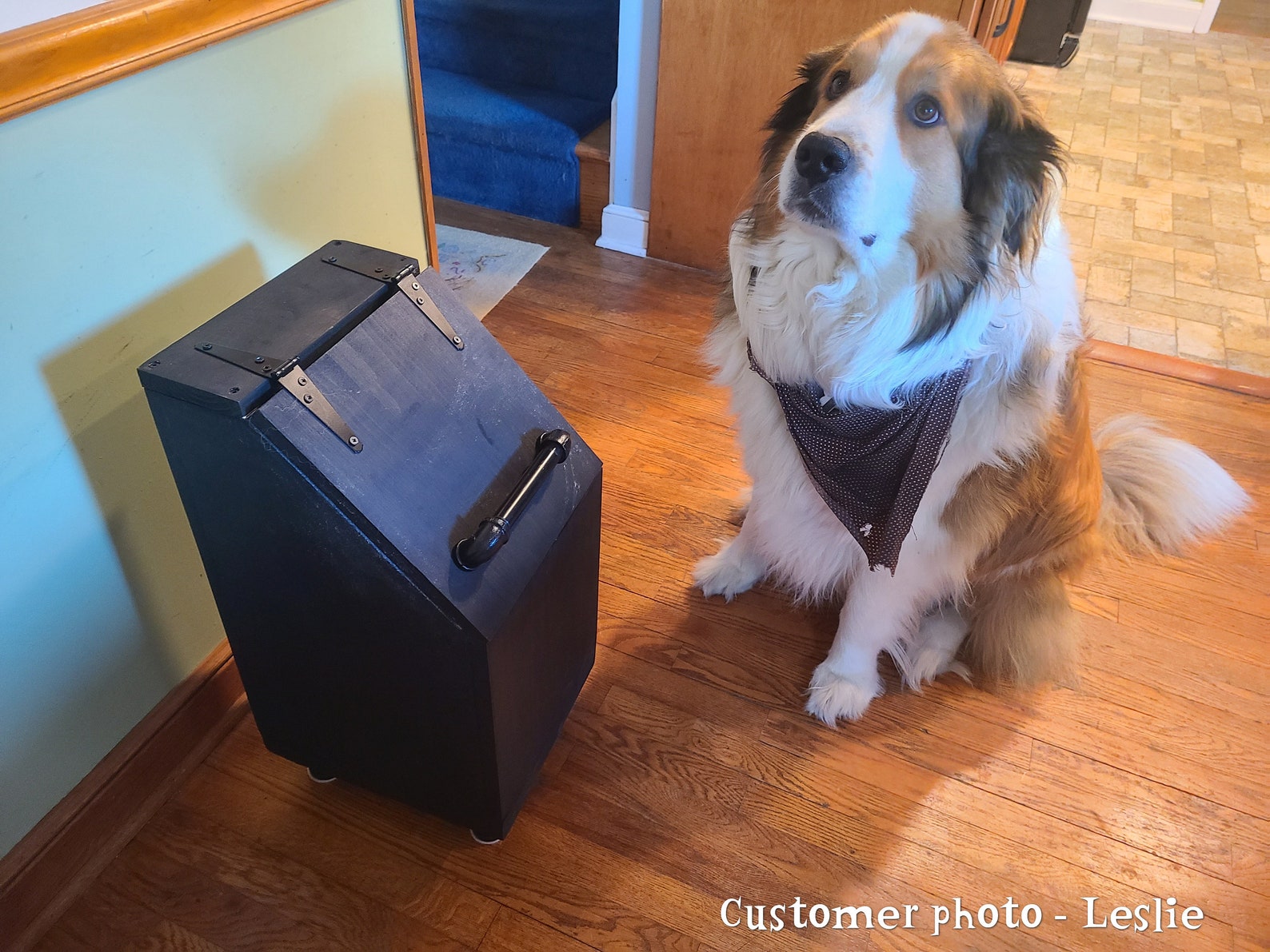 Wooden Dog Food Storage Container Dog Food Bin Puppy Food Etsy