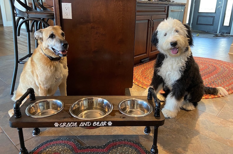 Two medium dogs beside a rustic knotty pine 3 bowl elevated dog feeder, black pipe legs, engraved front