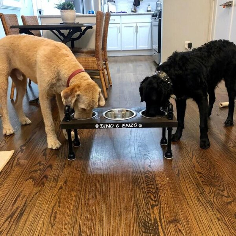 Large yellow and black dogs using a wood and metal 3 bowl elevated dog feeder, personalized engraved front
