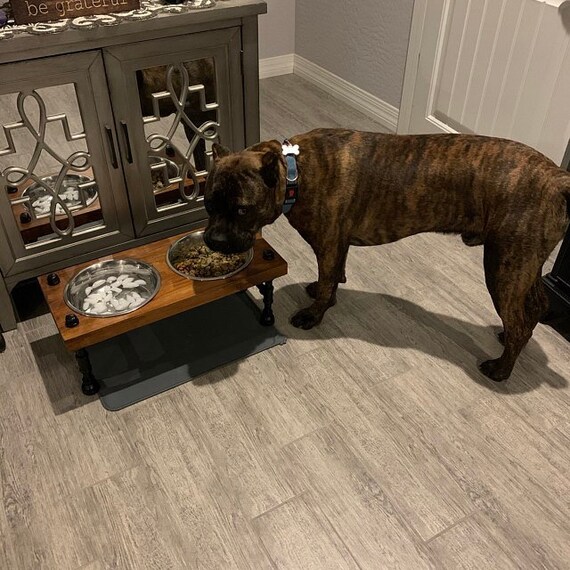 industrial style erhabener hunde oder katzenschalenstander etsy