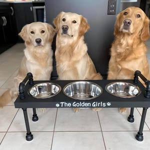 Three golden retrievers behind a satin black pipe 3 bowl elevated dog feeder, knotty pine top, stainless bowls