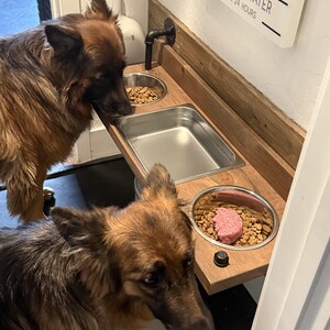 Floating water bin dual feeder: steampunk pet feeding station with two stainless bowls on a wooden platform beside a dog.