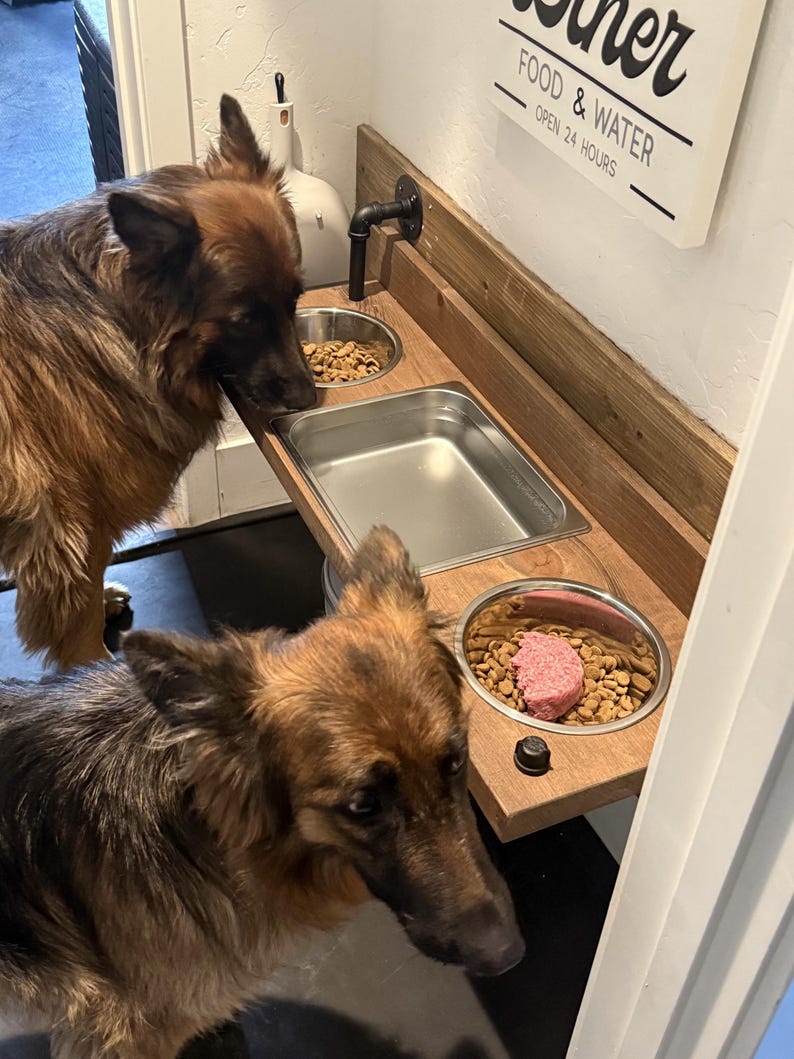 Floating water bin dual feeder: steampunk pet feeding station with two stainless bowls on a wooden platform beside a dog.