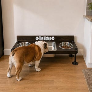 Elevated Dog Feeder with Water Bin, Large Wood Stand, Stainless Steel Bowls
