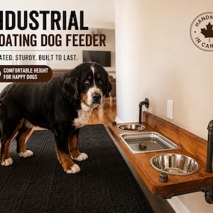 Floating Dog Bowl Feeder, Steampunk Dual Feeder, Wall Mounted Pet Station