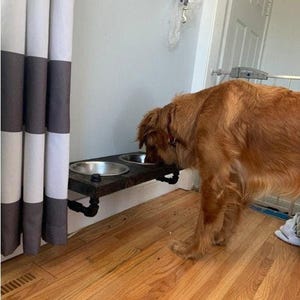 Elevated Dog Feeder, Bottom Mount Stand, 1 2 3 Bowl