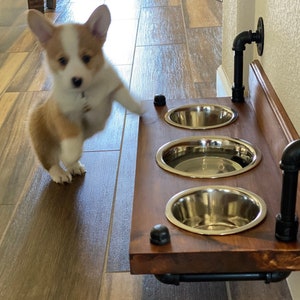 Floating dog bowl feeder - wall mount dog bowl feeder - stylish floating dog feeder