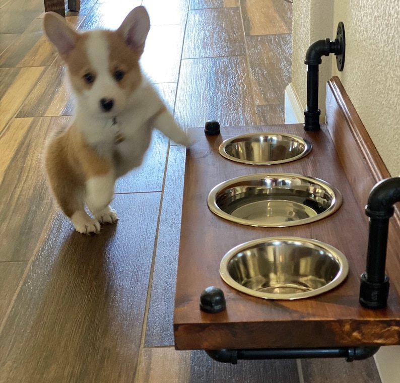Floating dog bowl feeder wall mount dog bowl feeder stylish floating dog feeder image 1