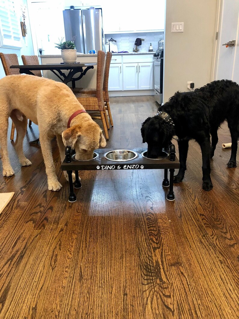 Two large dogs eating at an industrial dog bowl stand, sturdy black pipe legs, raised dog bowl feeder