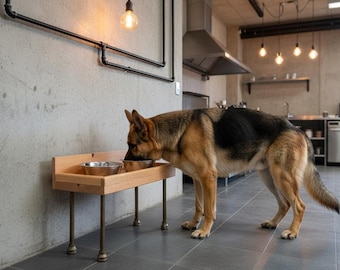Industrial Raised Dog Bowl Stand, Metal Pipe Legs, Small Size