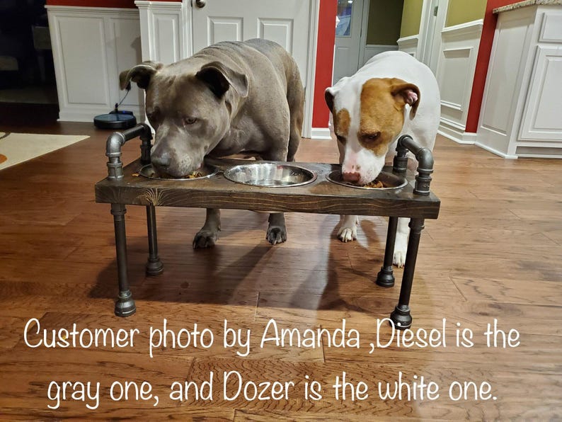 Tall pipe dog bowl stand in antique finish, 3 bowl elevated dog feeder, two dogs eating side-by-side