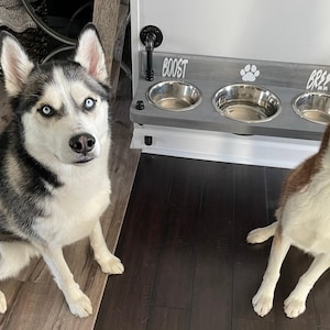Floating Dog Bowls, Knotty Pine Feeder, Rustic Wood Wall Bar