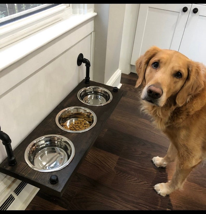 Floating Dog Bowl Feeder Wall Mount Dog Bowl Feeder Etsy Canada