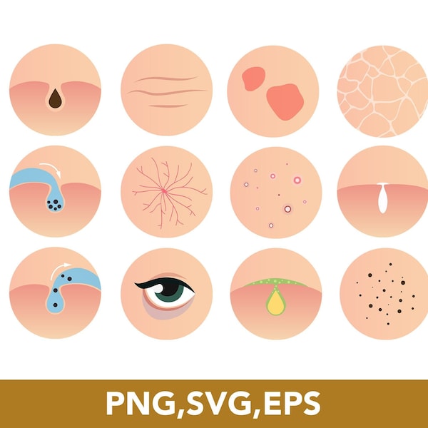 Skin Care, Skin Conditions, Body Care Icons, SVG bundle, PNG, EPS, Vector Files, 12 Clip Arts - Digital Download