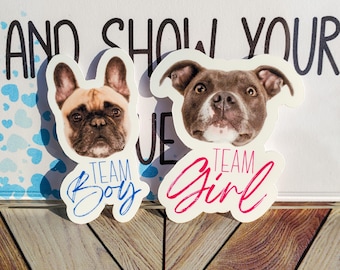 May include: Two stickers with dog faces. One sticker has a French Bulldog with the words "Team Boy" in blue script. The other sticker has a Pitbull with the words "Team Girl" in pink script.