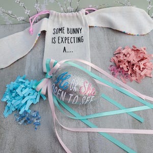 Gender Reveal Easter Egg/ Gender Reveal Egg/ Gender Reveal Party/ Easter Gender Reveal/ Easter/ Easter Egg/ Easter Baby announcement