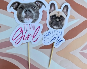 May include: Two decorative toppers on wooden sticks featuring dog faces. The larger topper shows a grey dog with the text Team Girl in pink script. The smaller topper shows a fawn French Bulldog with the text Team Boy in blue script.