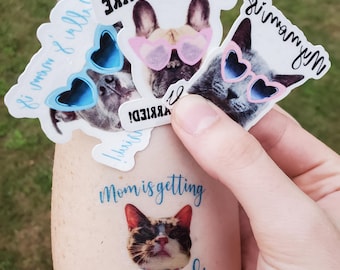 May include: A collection of stickers featuring images of dogs and cats wearing heart-shaped sunglasses. The stickers have text that reads "My humans are married!" and "Mom is getting married!" in a playful font. The stickers are held against a blurred green background.