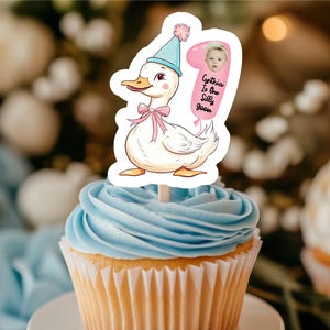One Silly Goose Cupcake Toppers/ One Lucky Duck First Birthday Party/ Silly Goose Decor/ 1st Birthday Decor/ One Silly Goose Party Decor