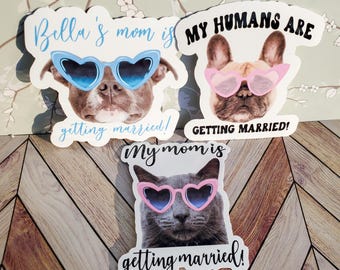 May include: Three die-cut stickers featuring pets wearing heart-shaped sunglasses. One sticker says "Bella's mom is getting married!" with a dog. Another says "My humans are getting married!" with a dog. The third says "My mom is getting married!" with a cat.