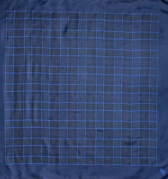 Free Shipping Daks Silk Scarf (33