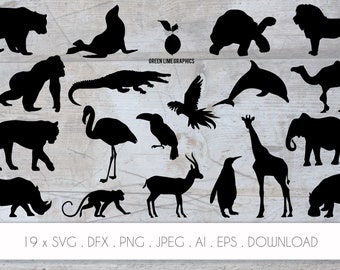 Download Zoo Animal Svg Etsy