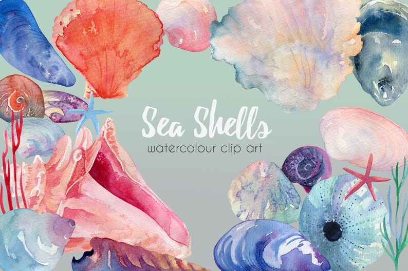 K&ouml;nnte beinhalten: Aquarell-Clipart mit verschiedenen Muscheln in Rosa-, Blau- und Gr&uuml;nt&ouml;nen. Die Muscheln sind in einem Kreis um den Text "Sea Shells watercolor clip art" angeordnet.