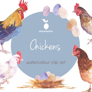 Watercolour Chickens Clipart, Easter clipart, Farm Clipart, Eggs, Poultry, Hens, Cockerel, Farmyard, Rooster clipart, Easter Chicken, PNG