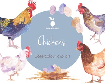 Watercolor Chicken Clipart: Farm Easter PNG (Digital Download)