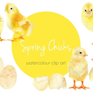 Ostern Küken Clip Art, Aquarell Küken Clip Art, Baby Küken Clip Art, handgemalte Küken Clip Art