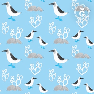 Blue Footed Booby seamless Pattern, Galapagos pattern, Galapagos png, Blue footed pattern, Bird digital Paper, Blue Booby Seamless, png