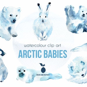 Watercolour Christmas animals clipart, winter animals clipart, polar animals clipart, polar bear, penguin, arctic fox, seal, PNG